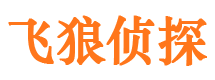 通海市侦探调查公司